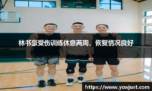 彩神VI首页官网