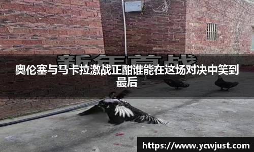 彩神VI首页